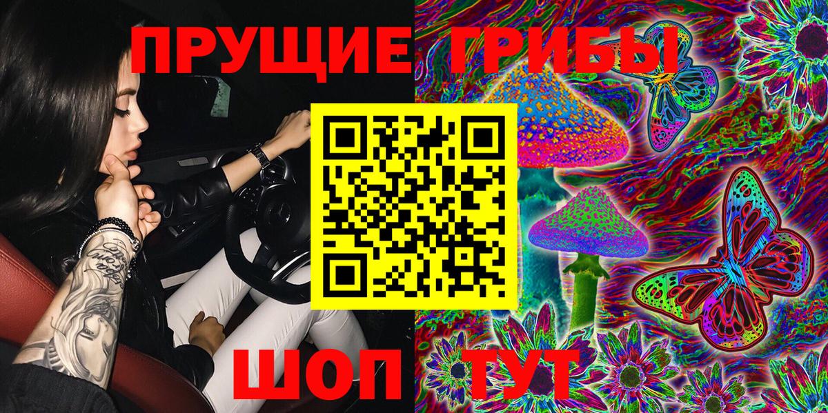 Галлюциногенные грибы Cubensis Норильск